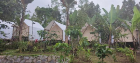 Kamesta camp and coffee